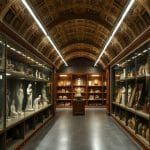 reserves-louvre-coulisses-musees