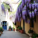 cours-interieures-fleuries-marais