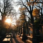 visiter-paris-guide-decale